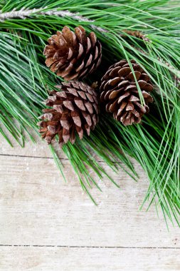 pinecones ile Noel köknar ağacı