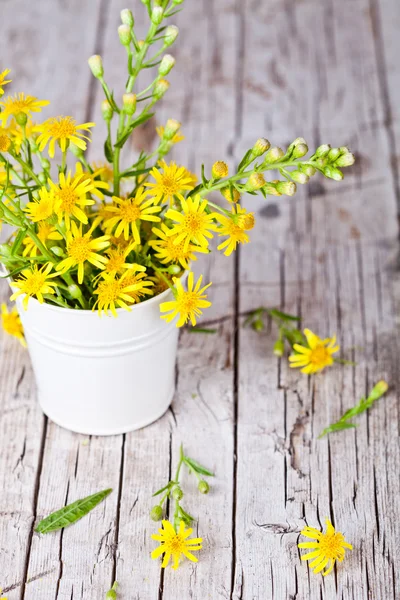 Wild yellow flowers in bucket — Stock Photo, Image