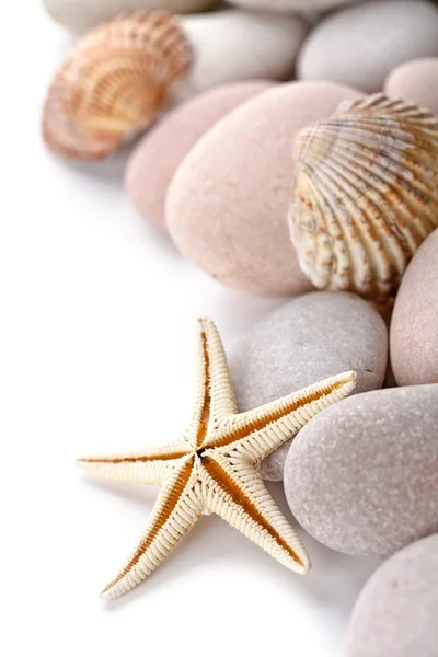 Pile of stones, shells and sea star — Stock Photo, Image