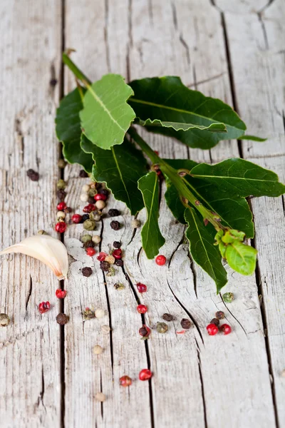 Twig of fresh laurel and peppercorns — Stock Photo, Image