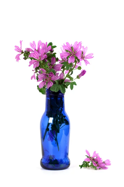 Wild violette bloemen in blauwe fles — Stockfoto