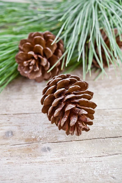 Abeto de Navidad con piñas — Foto de Stock