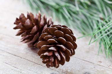 pinecones ile Noel köknar ağacı