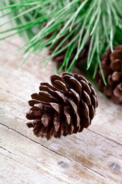 pinecones ile Noel köknar ağacı