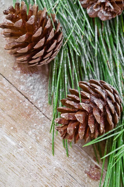 Χριστουγεννιάτικο έλατο με pinecones — Φωτογραφία Αρχείου