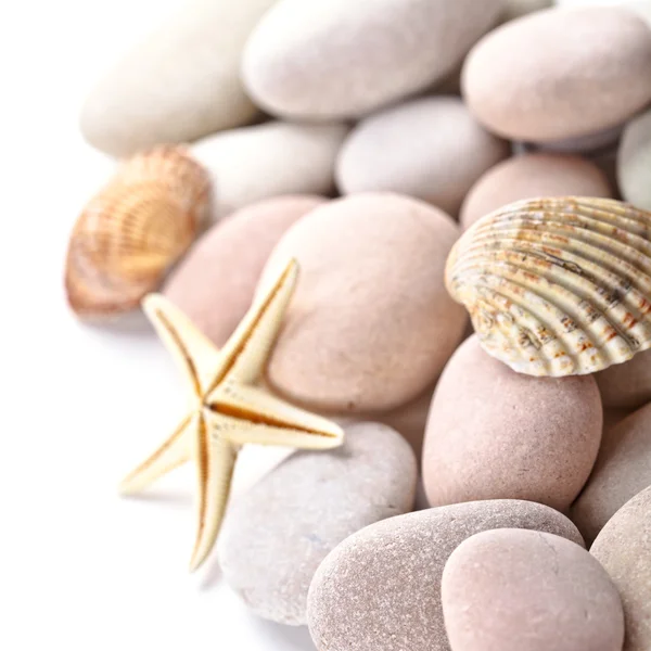 Pile of stones, shells and sea star — Stock Photo, Image