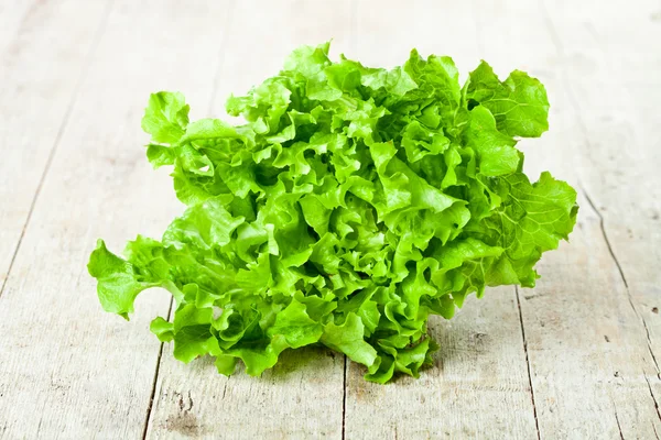 Čerstvý zelený salát — Stock fotografie