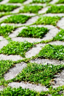 Yeşil çimenli taş blok yürüyüş yolu