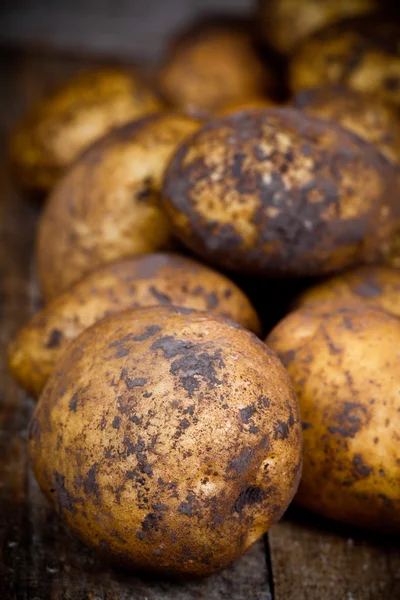 Bio brambory — Stock fotografie
