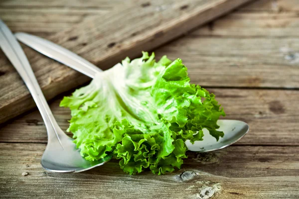 Lettuce salad leaf and two spoons — Stock Photo, Image