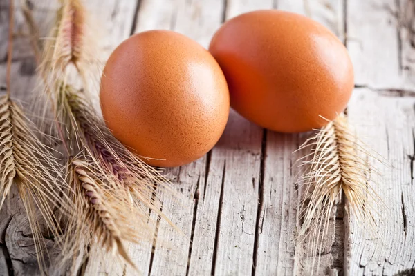 Fresh eggs and wheat ears — Stock Photo, Image