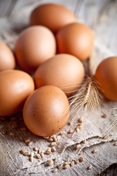 Ovos castanhos frescos, costuras e espigas de trigo — Fotografia de Stock