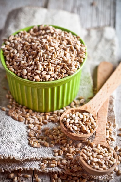 Wheat grain — Stock Photo, Image