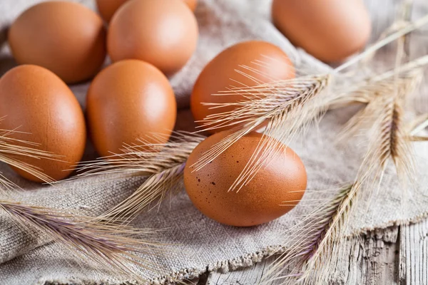 Huevos pardos frescos y espigas de trigo —  Fotos de Stock