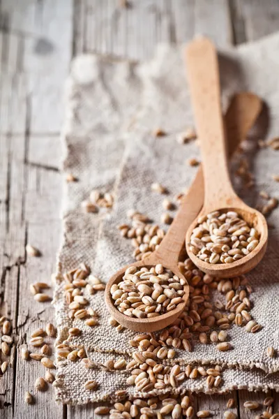 Wheat grain in wooden spoons — Stock Photo, Image