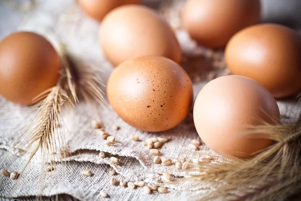 Ovos castanhos frescos e espigas de trigo — Fotografia de Stock