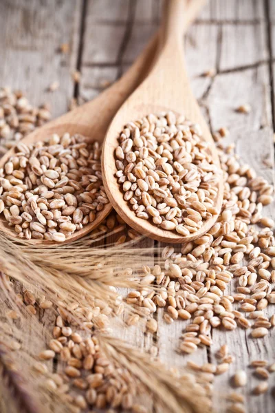 Wheat grain in wooden spoons — Stock Photo, Image