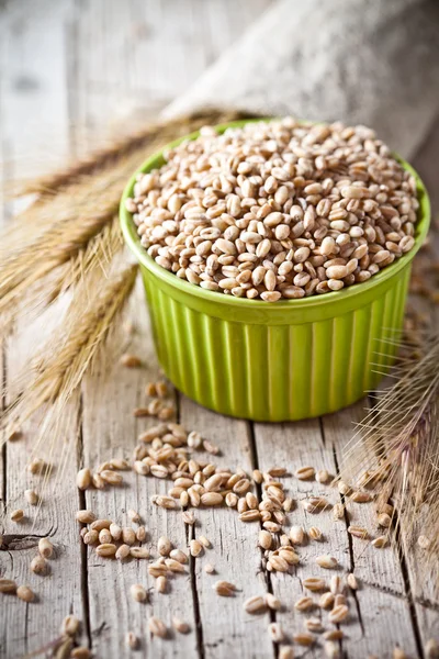 Wheat grain in bowl and ears — Stock Photo, Image