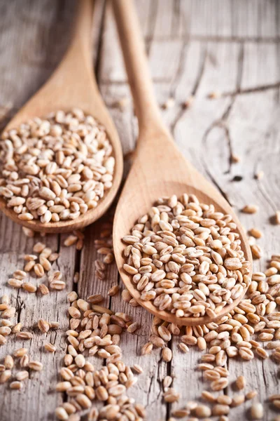 Wheat grain in wooden spoons — Stock Photo, Image