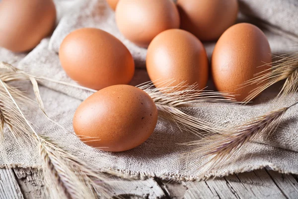 Brązowy jaja świeże i pszenica uszy — Zdjęcie stockowe