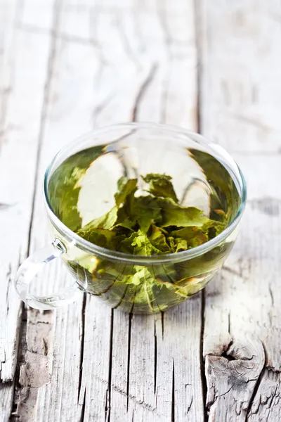 Tasse grünen Tee — Stockfoto