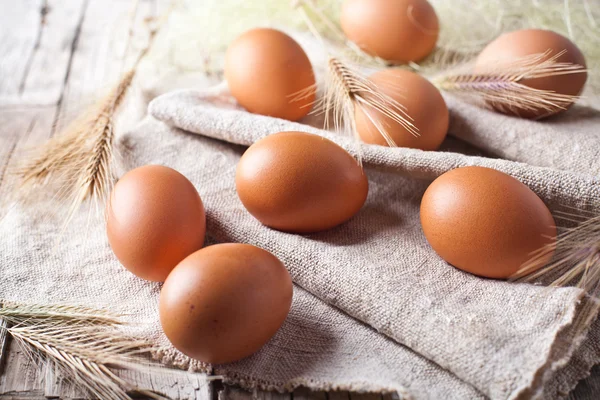 Fresh brown eggs and wheat ears — Stock Photo, Image