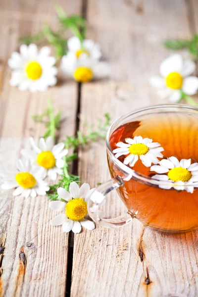 Xícara de chá com flores de camomila — Fotografia de Stock