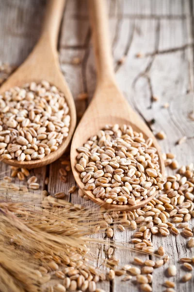 Wheat grain in wooden spoons — Stock Photo, Image