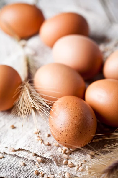 Fresh brown eggs, wheat seeds and ears — Stock Photo, Image