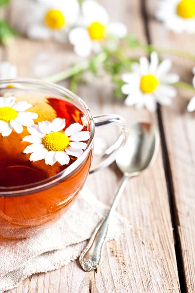 Kopp te med kamillete blomster – stockfoto