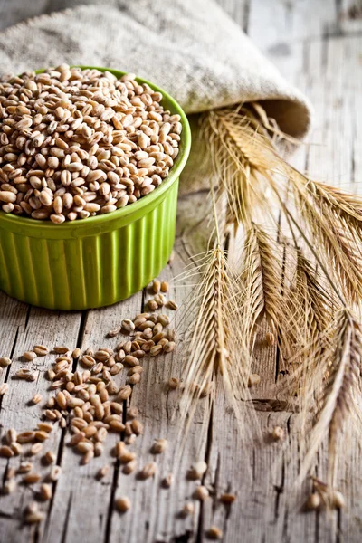 Wheat grain in bowl and ears — Stock Photo, Image