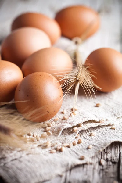 Huevos marrones frescos, semillas de trigo y espigas —  Fotos de Stock