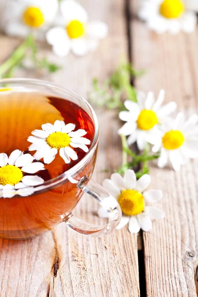 Tasse de thé avec des fleurs de camomille — Photo