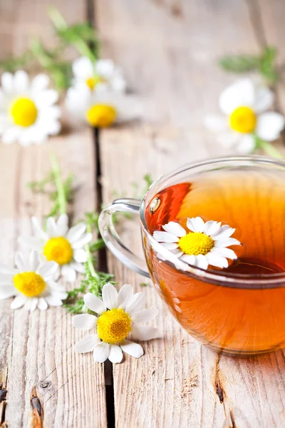 Šálek čaje s heřmánkovými květy — Stock fotografie