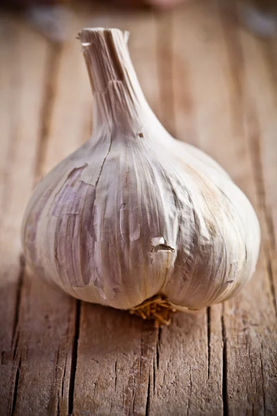 Frischer Knoblauch — Stockfoto