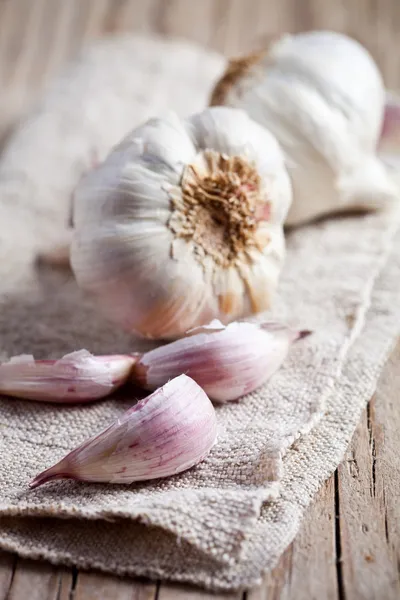 Frischer Knoblauch — Stockfoto