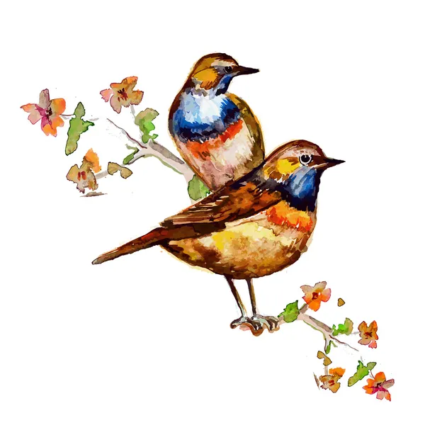 Cute birds for your design. watercolor — Stock Illustration Cute birds for your design. watercolor Royalty Free Stock Vectors