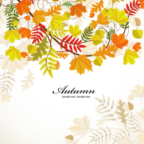 Autumn leaves