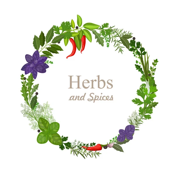 Herbs and spices — Stock Illustration Herbs and spices Royalty Free Stock Vectors