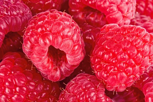 Hintergrund aus Himbeeren — Stockfoto