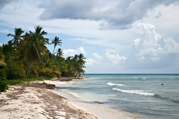 Costa oceanica — Foto Stock