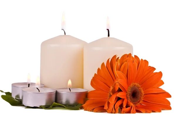 Velas ardientes y flores gerbera —  Fotos de Stock