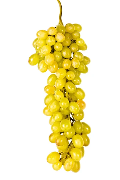 De tak van druiven geïsoleerd, op een wit — Stockfoto