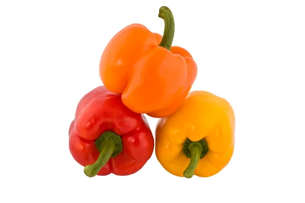 Pepper — Stock Photo, Image