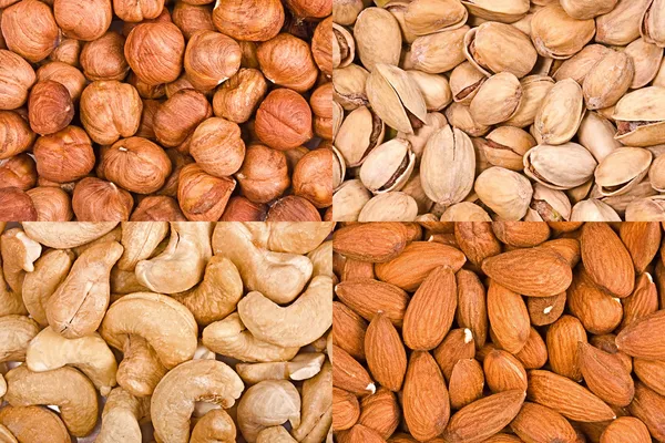 Four kinds of nuts in bulk — Stock Photo, Image