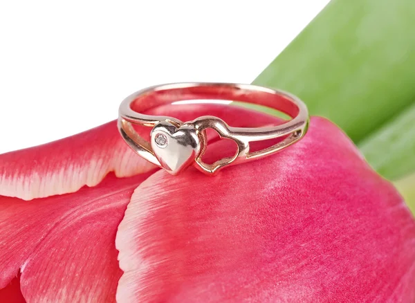 Ring op een bloem bud — Stockfoto