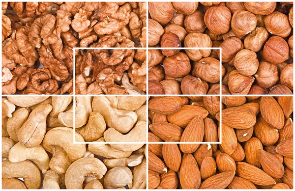 Some kinds of nuts fragments a collage — Stock Photo, Image
