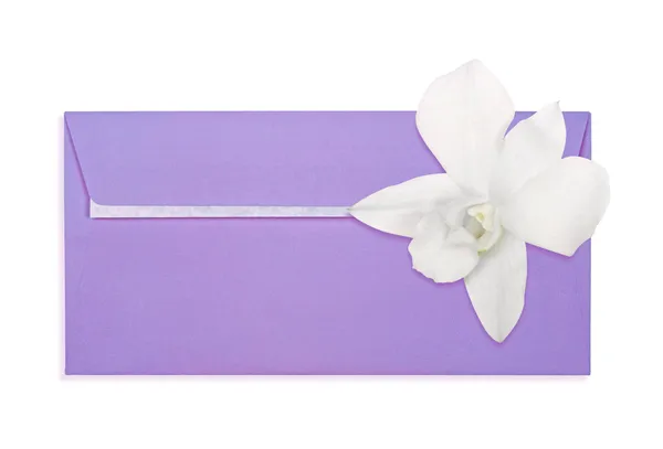 Briefumschlag mit einer Blume auf dem weißen — Stockfoto