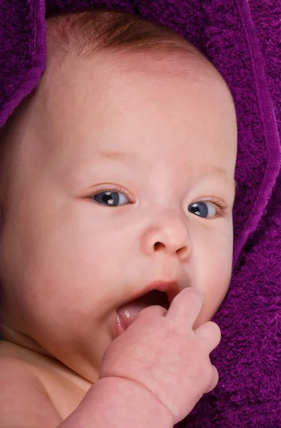 The kid on lilac background — Stock Photo, Image