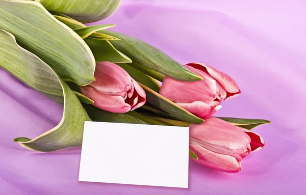 Bouquet and white card on the pink — Stock Photo, Image
